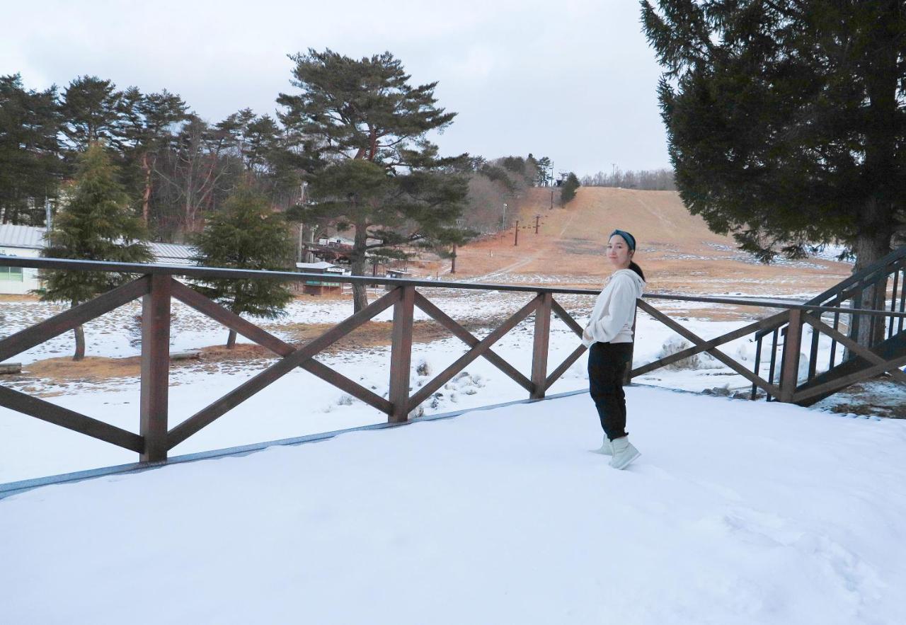 Numajiri Kogen Lodge 猪苗代町 外观 照片